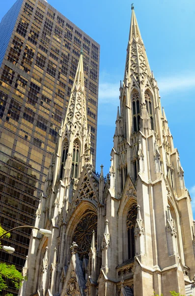Catedrala Sf. Patrick — Fotografie, imagine de stoc