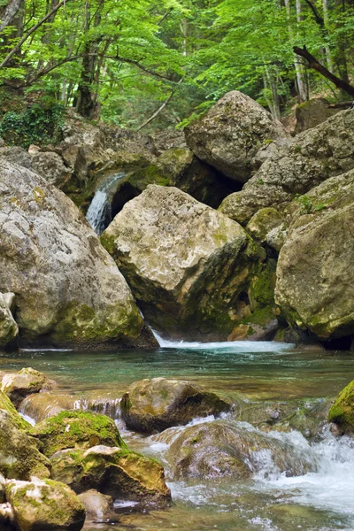 stock image Mountain stream with cascading waterfalls