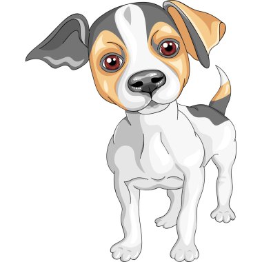 Vector sketch dog Jack Russell Terrier breed clipart