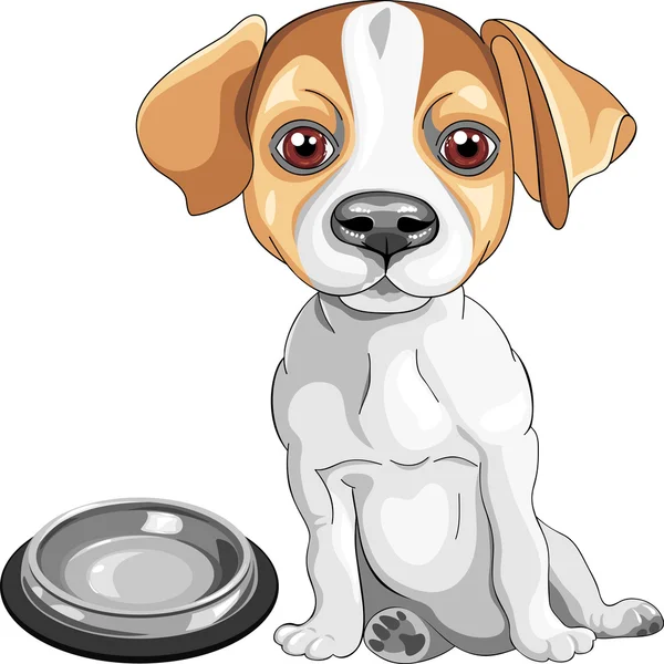 Vektör çizimi köpek jack Russell terrier doğurmak — Stok Vektör