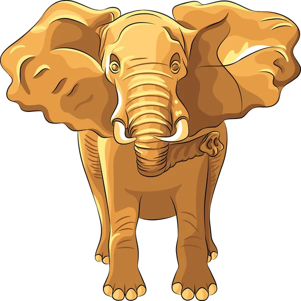 Elefante africano vermelho vetor — Vetor de Stock