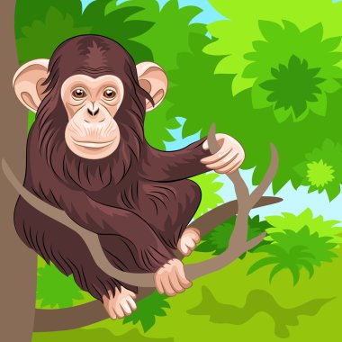 Vector of funny monkey chimp in the jungle clipart