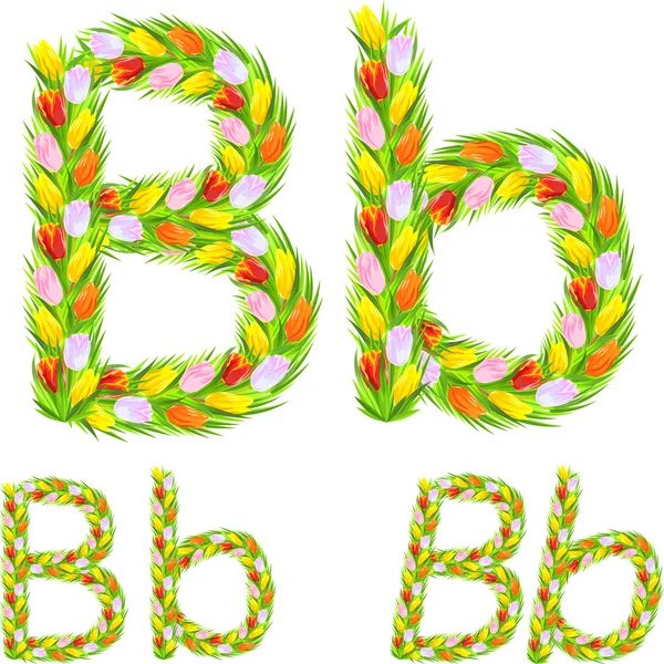 Vector font type letter B made from flower tulip — Stock Vector