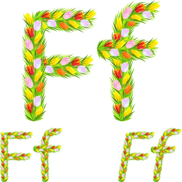 Vector font type letter F made from flower tulip — Stock Vector
