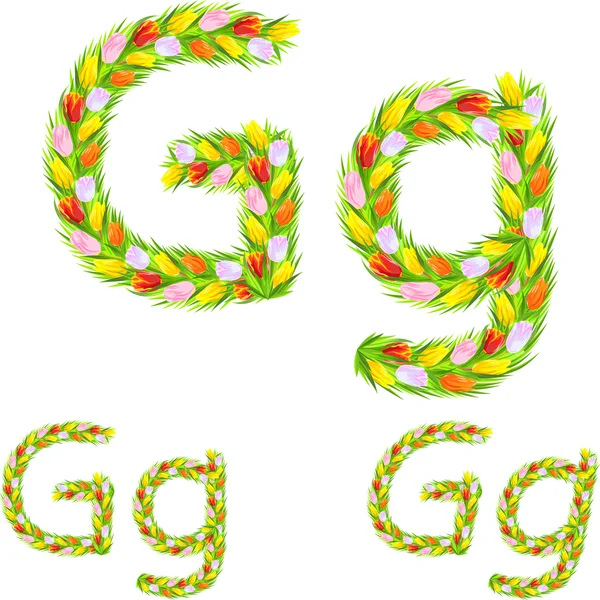 Vector font type letter G made from flower tulip — Stock Vector