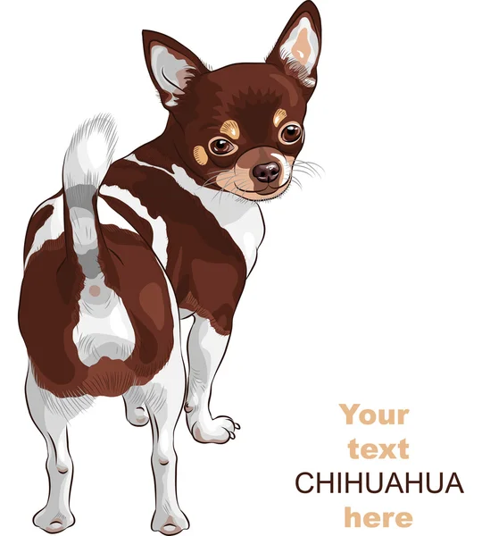 Vector bosquejo perro de raza Chihuahua sonriendo — Vector de stock