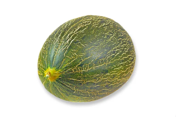 Eine zukünftige Melone — Stockfoto