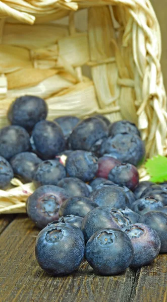 Blueberry tumpah keluar dari keranjang — Stok Foto