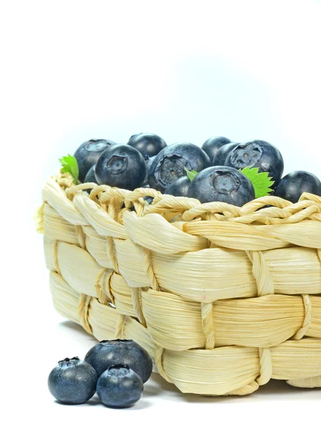 Sekeranjang blueberry — Stok Foto
