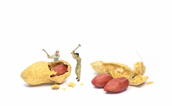 Trabalhando para amendoins — Fotografia de Stock