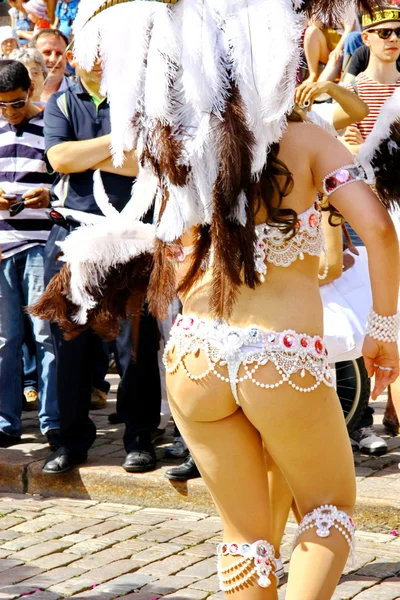 Samba คาร์นิวัล — ภาพถ่ายสต็อก