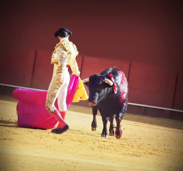 Torero avec taureau dans l'arène de taureaux en Espagne — Photo