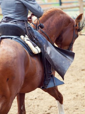 Cowbow riding at horse looking behind clipart