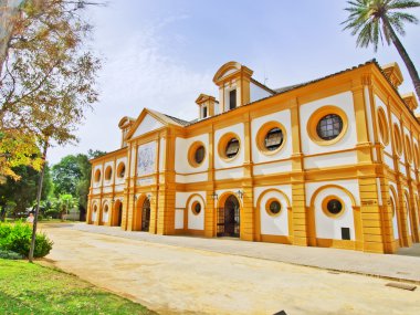 The Royal Andalucían School of Equestrian Art