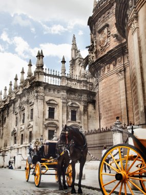 Cathedral of Seville with carrige horse, Spain clipart