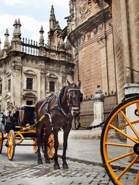Detail of Seville Cathedral with carriage horse, Andalusia, Spa clipart
