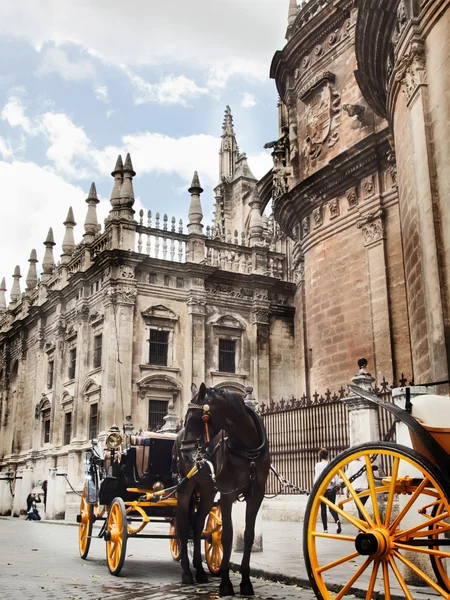 Katedrála v seville s přešroubování koně, Španělsko — Stock fotografie