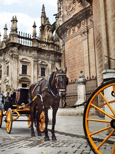 Detalhe da Catedral de Sevilha com cavalo de transporte, Andaluzia, Spa — Fotografia de Stock