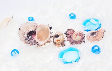 Abstract sea background with blue glass pebbles and shell on whi clipart