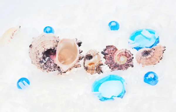 Fondo marino abstracto con guijarros de vidrio azul y concha en whi — Foto de Stock