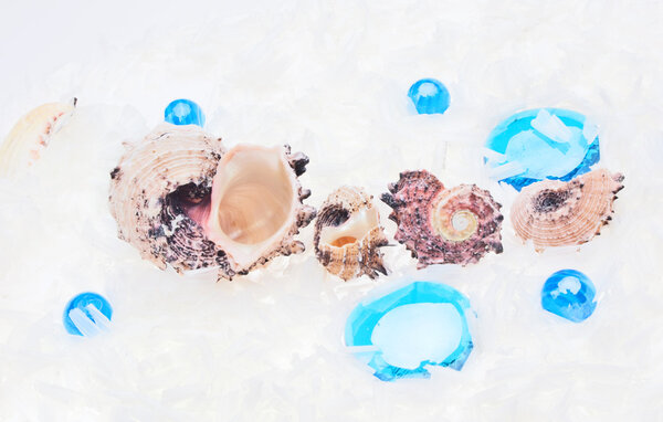 Abstract sea background with blue glass pebbles and shell on whi