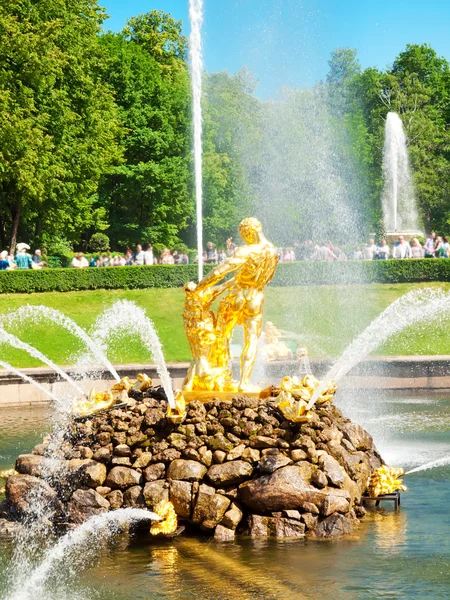 Berömda Simson och lejonet fontänen i peterhof grand cascade, s — Stockfoto