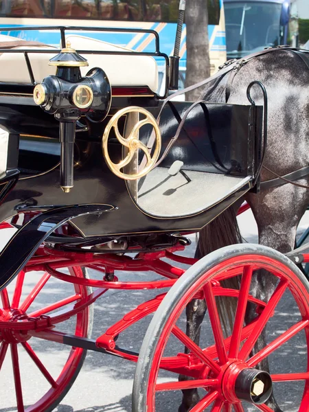 stock image Horse carriage in Jeres de la Frontera town, Andalusia. Spain