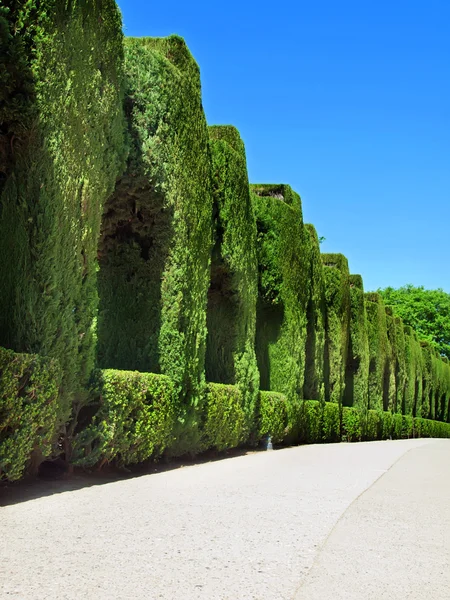 スペイン風庭園 - アンダルシア州グラナダ県からアルハンブラ宮殿の庭園 — ストック写真