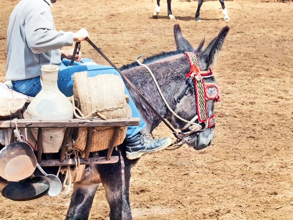 Espanhol burro com carga, Andaluzia, Espanha — Fotografia de Stock