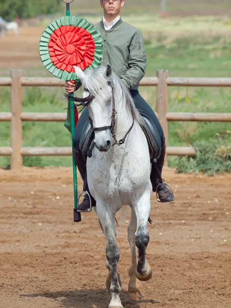 Espectáculo rural español con caballos. Andalucía, España — Foto de Stock