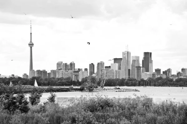Силуэт Торонто — стоковое фото