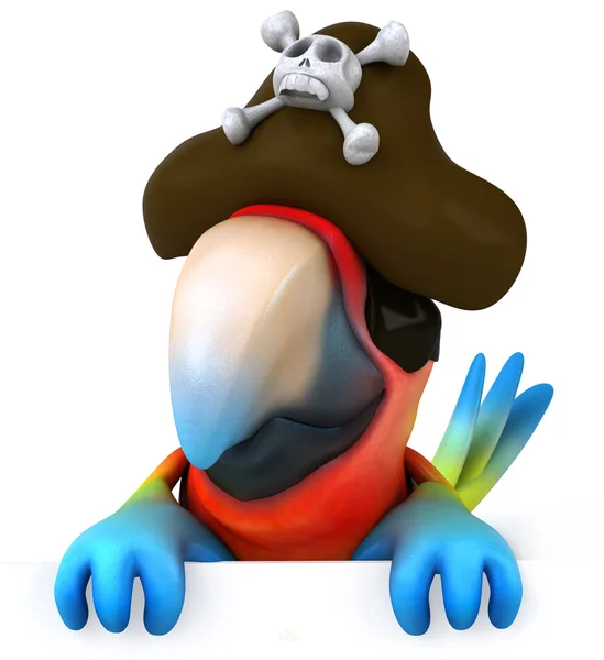 Parrot - pirate — Stock Photo, Image