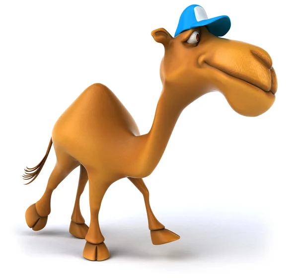 Eğlenceli deve — Stok fotoğraf