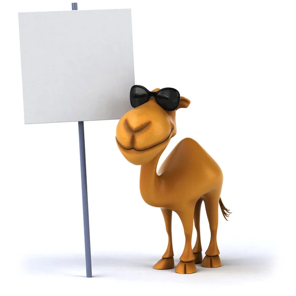 Plezier kameel — Stockfoto
