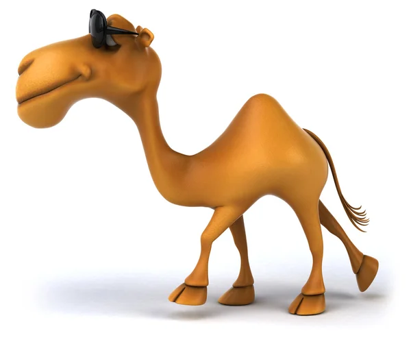 Fun camel — Stock Photo, Image