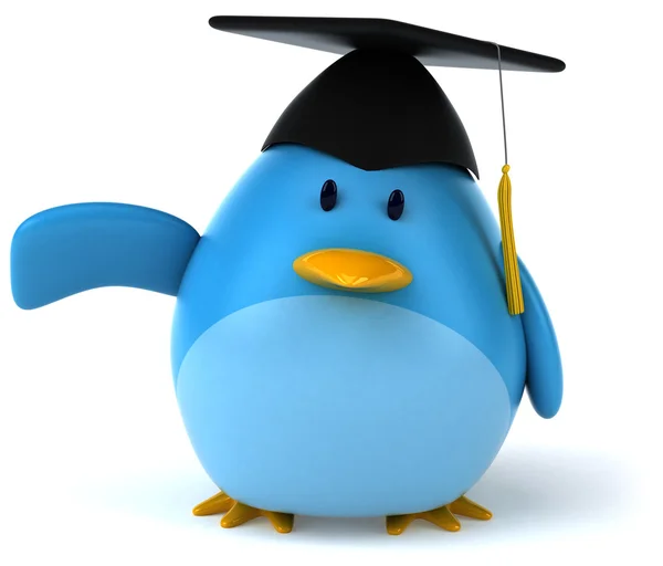 Blue bird graduation — Stock Photo, Image