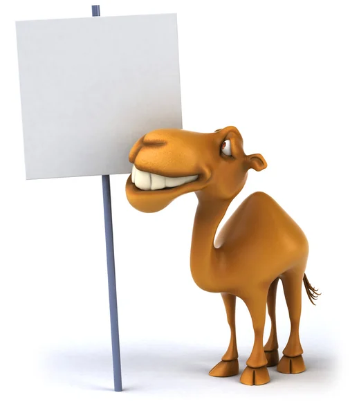 Kamel – stockfoto