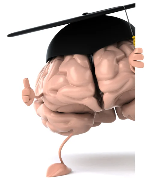 Cérebro e estudos — Fotografia de Stock