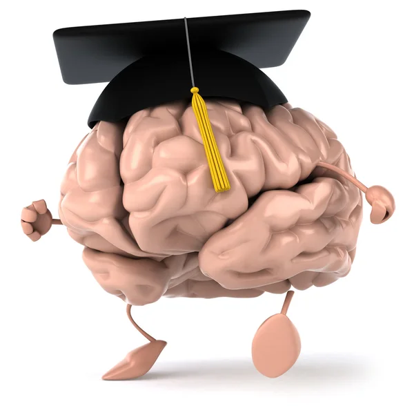 Brain and studies — Stock Photo, Image