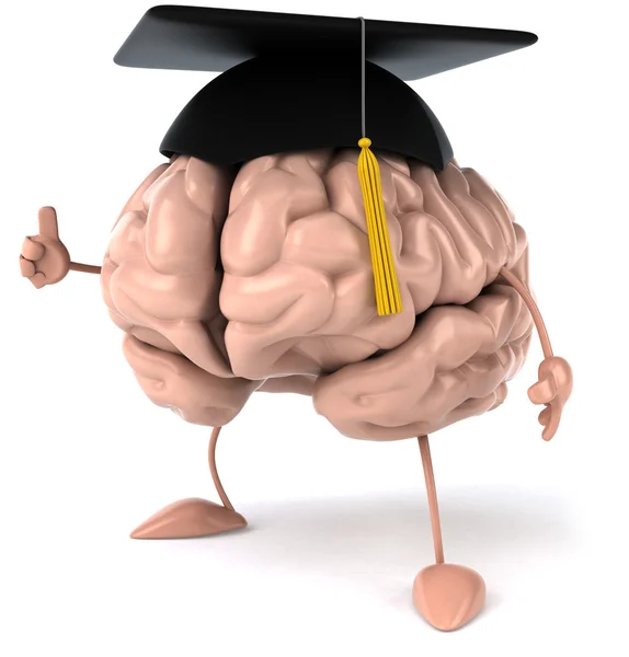 Gehirn und Studien — Stockfoto