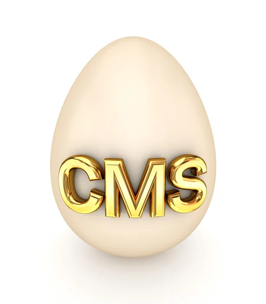 Большое яйцо со словом CMS . — стоковое фото