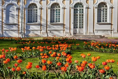 st-petersburg banliyölerinde sarayları