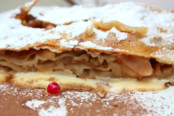 Strudel with powdered sugar and cacao — Stock Photo, Image