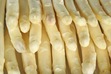 White Asparagus clipart