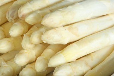 White Asparagus clipart