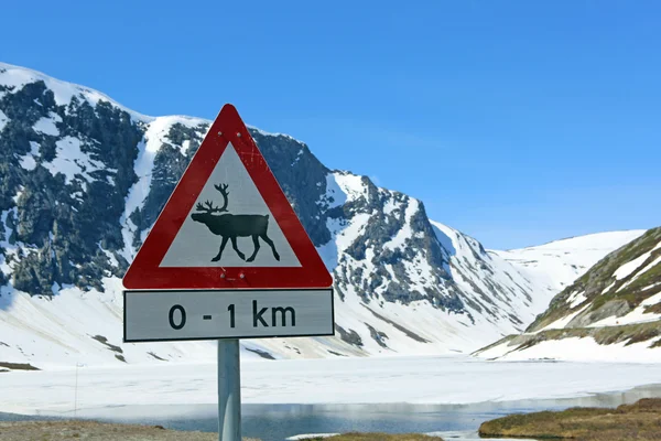 Norwegian Road Sign — Stock Photo, Image