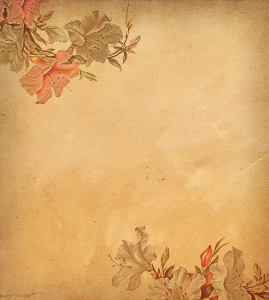 Винтажный цветочный фон . — стоковое фото