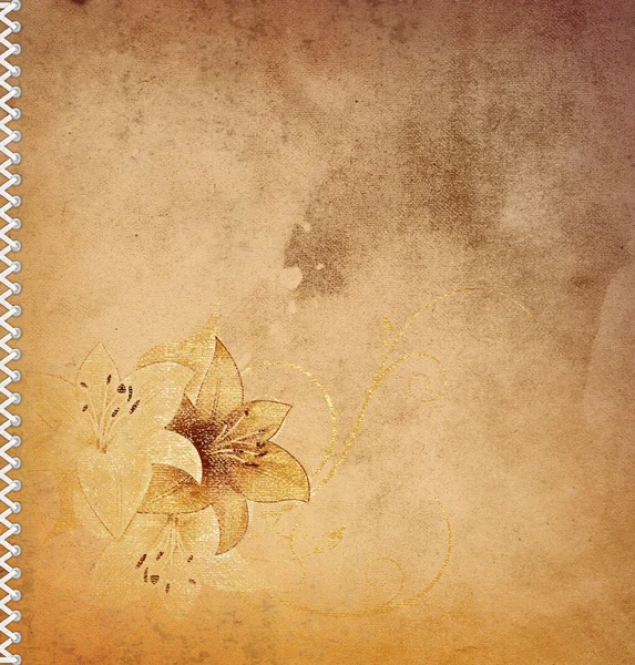 Vintage floral background. — Stock Photo, Image