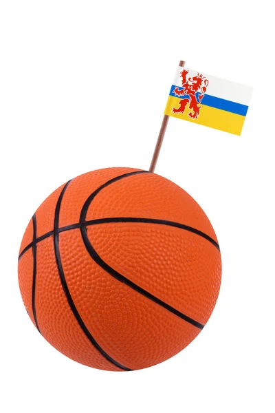 Volejbal se státní vlajka — Stock fotografie