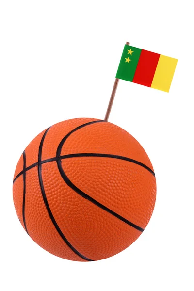 Volley-ball com uma bandeira nacional — Fotografia de Stock